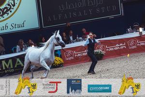 190928_100_All Nations Cup-1219.jpg