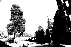 DSC01834.jpg
