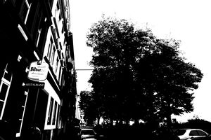DSC01913.jpg