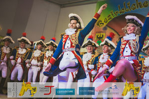 200221_700_Bezirkskarneval Haaren-1022.jpg