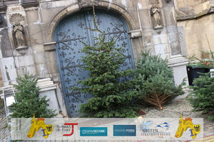 191215_300_Weihnachtsbaumverkauf zugunsten Hospiz am Iterbach-1008.jpg