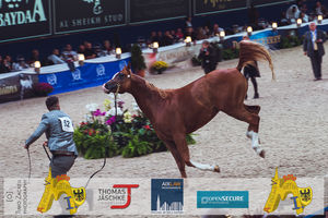 190928_100_All Nations Cup-1198.jpg