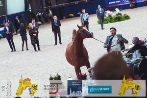 190928_100_All Nations Cup-1177.jpg